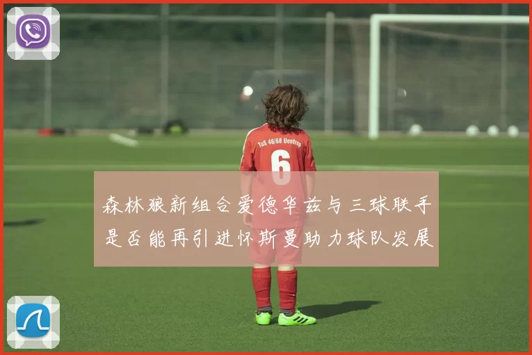 森林狼新组合爱德华兹与三球联手是否能再引进怀斯曼助力球队发展